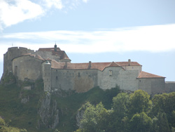 Chateau de Joux